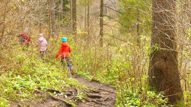 Two little beautiful girls walk in Slovak Paradise. Slovak Paradise (Slovensky raj) is mountain range in eastern Slovakia, part of Spis-Gemer Karst, located between towns of Spisska Nova Ves.