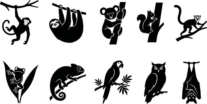 Black silhouettes of various animals hanging on branches and leaves  jungle wildlife icons