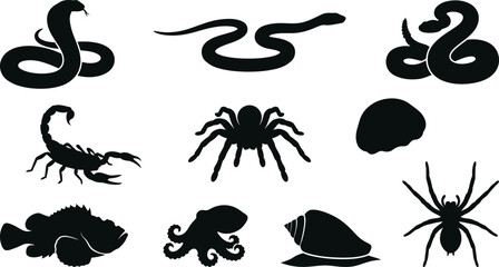Black silhouettes of various sea and land animals on white background © SAYEDAJANNATUL