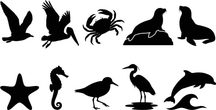 Black silhouettes of various sea and shore animals and birds  marine wildlife icons