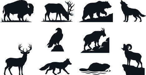 Black silhouettes of various wild animals on white background  wildlife icons © SAYEDAJANNATUL