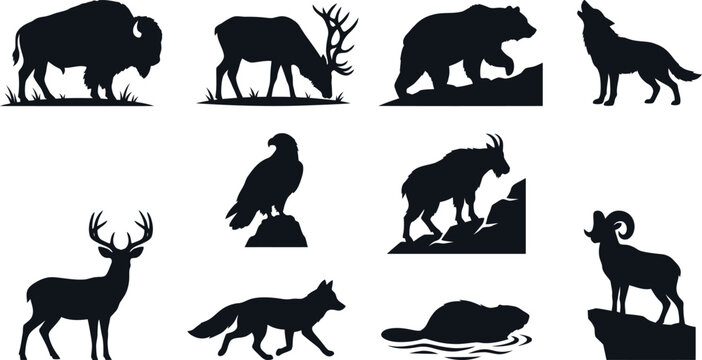 Black silhouettes of various wild animals on white background  wildlife icons