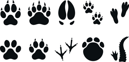 Collection of various animal footprints and paw prints in black silhouette on white background © SAYEDAJANNATUL