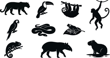 Silhouettes of various exotic animals on white background  jungle wildlife icons © SAYEDAJANNATUL