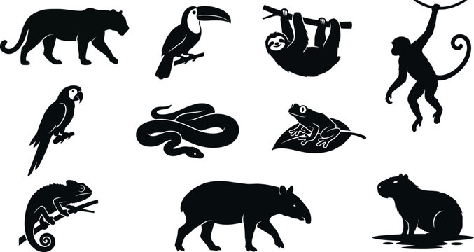 Silhouettes of various exotic animals on white background  jungle wildlife icons