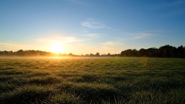 Sunrise over a dewy meadow with trees silhouetted and a vibrant sky