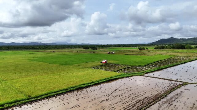 High-altitude aerial view of patchwork rice paddies at harvest, with multiple combine harvesters at work across green and golden fields backed by mountains, Philippines