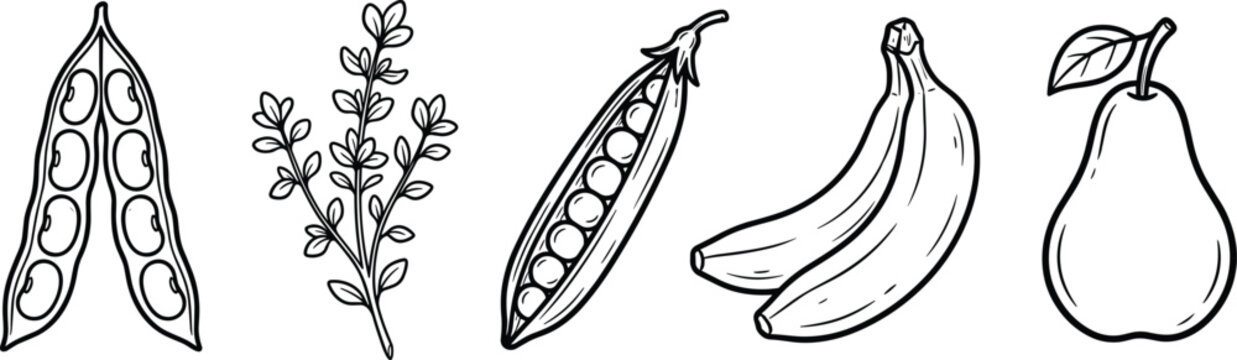 Fruit and plant silhouette flat vector illustration featuring pea pod, herbs, bananas, pear design art, botanical food icons, black‑and‑white drawing