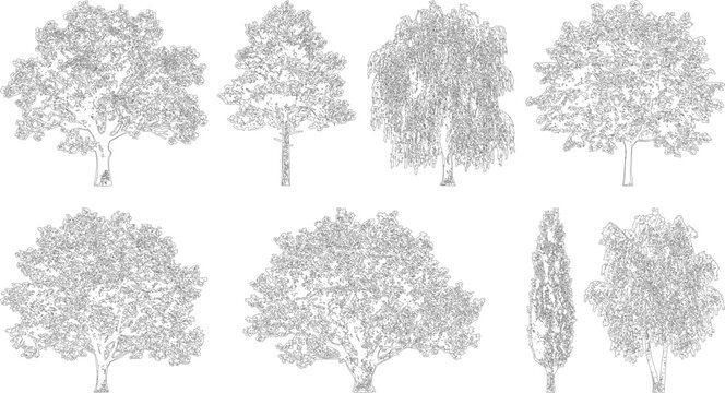 Detailed illustrations of various tree types in elevation view
