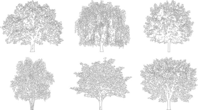 Detailed illustrations of six different tree types in elevation view
