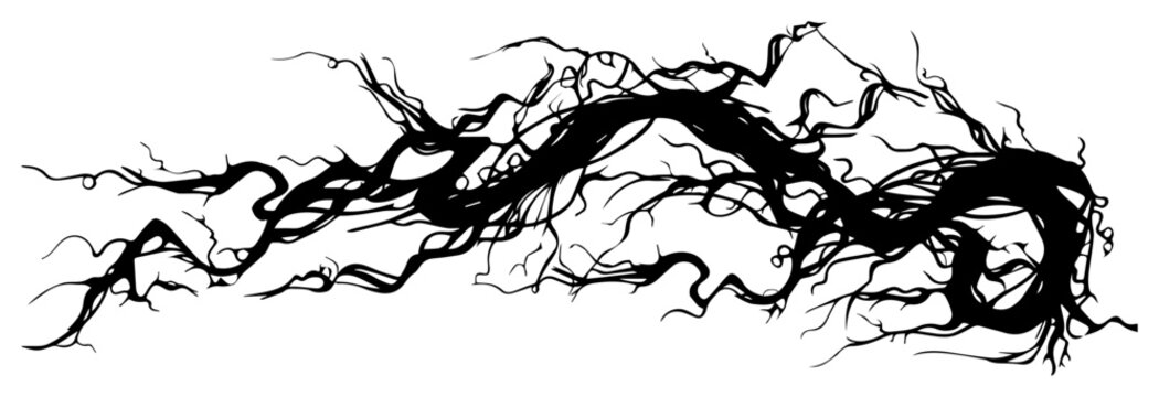 Spooky gnarled tree branches and tangled roots silhouette for Halloween or dark forest nature border