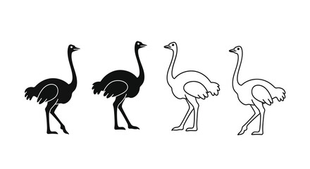 Obraz premium Four Ostrich Illustrations In Varying Line Weights Black And White Silhouette