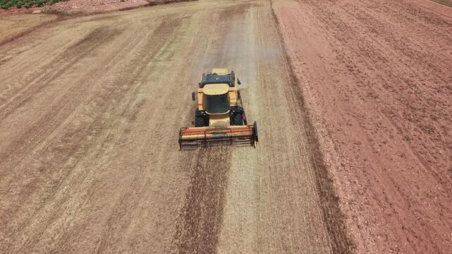 Aerial view of combine harvester harvesting ripe wheat field in summer countryside. Castilla-La Mancha, Spain.