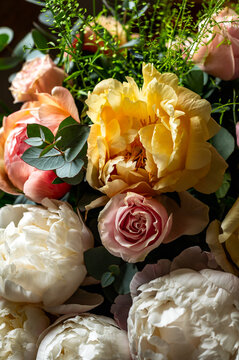 Macro shot of fresh bunch of peonies bouquet of different colors. Card Concept, gentle abstract floral background image, close up, shallow DoF