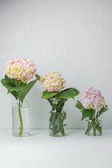Fototapeta premium Soft pastel floral composition with hydrangeas – great for greeting cards or wellness branding