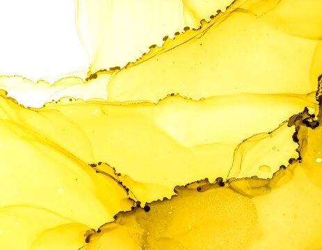 Abstract Yellow Watercolor Texture Background.