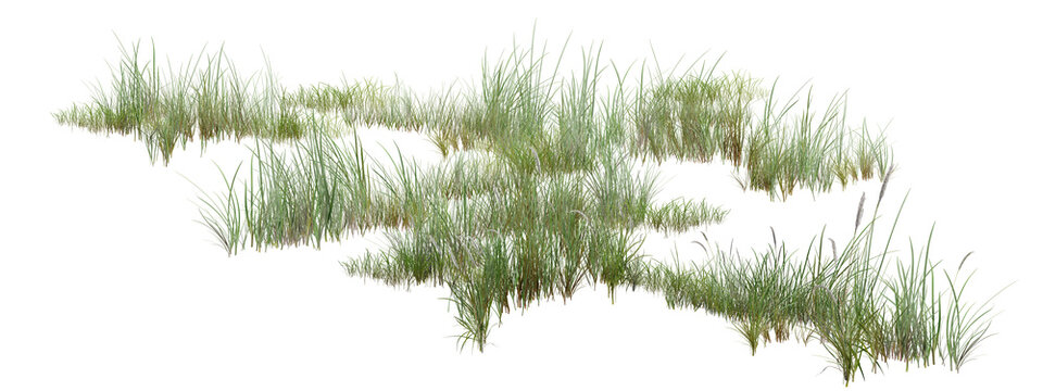 grass on white background/High-resolution isolated green grass clumps element. Realistic wild lawn blades cutout on transparent background, perfect for architectural rendering, landscape design