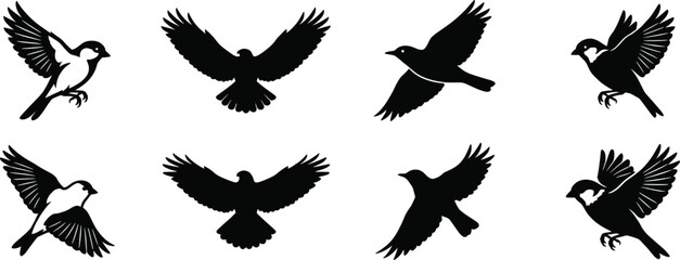 Vector collection of eight flying bird silhouettes including eagle hawk and small songbirds with wings spread © Manik