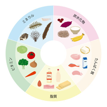５大栄養素のイラストセット