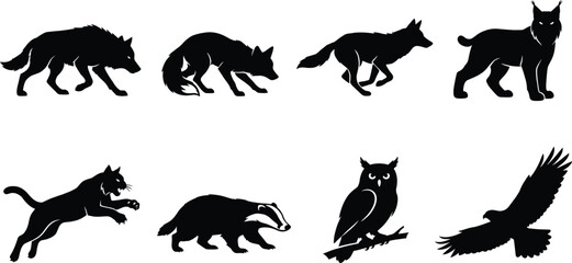 Fototapeta premium Vector collection of eight wild predator animal silhouettes including wolf fox lynx badger owl and flying hawk