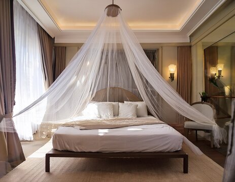 mosquito net and bed in luxurious room