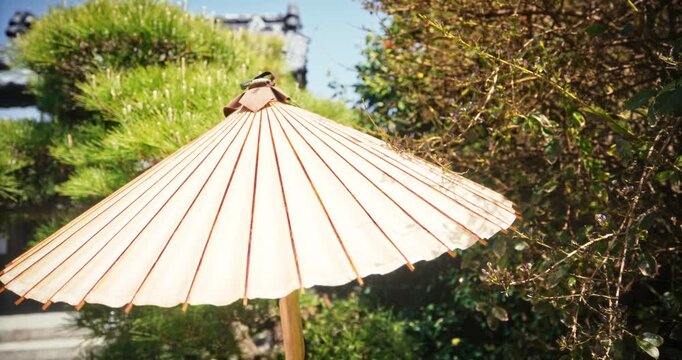 Traditional Paper Umbrella on Bamboo Pole in Japanese Garden - Slow Motion