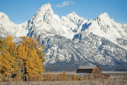 Rustic Barn with Snow-Covered Mountains and Autumn Trees