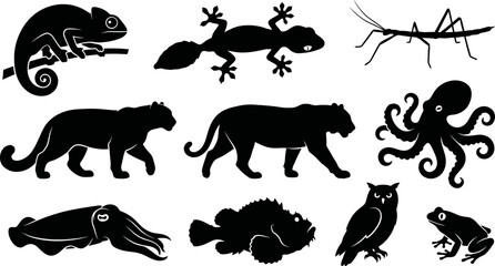 Black silhouettes of various animals on white background  chameleon lizard mantis © SAYEDAJANNATUL