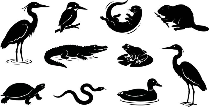 Black silhouettes of various animals on white background  birds reptiles amphibians