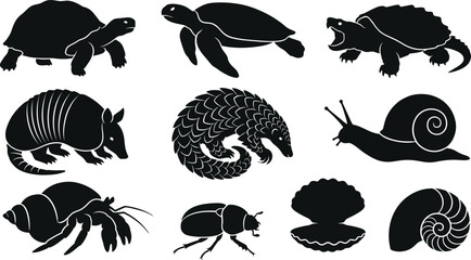 Black silhouettes of various animals on white background  turtles armadillos snails insects © SAYEDAJANNATUL