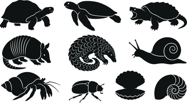 Black silhouettes of various animals on white background  turtles armadillos snails insects