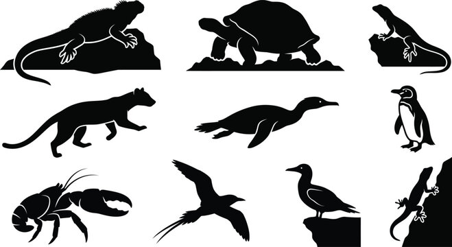 Black silhouettes of various animals on white background  lizard turtle penguin bird lobster