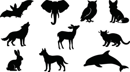 Black silhouettes of various animals on white background © SAYEDAJANNATUL