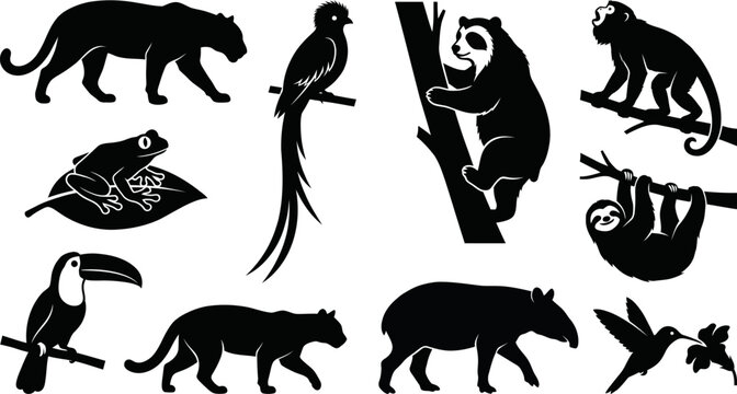 Black silhouettes of various jungle animals and birds on white  wildlife icons set