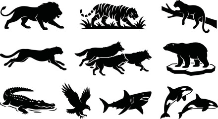 Black silhouettes of various wild animals on white background  lion tiger leopard cheetah wolf bear © SAYEDAJANNATUL