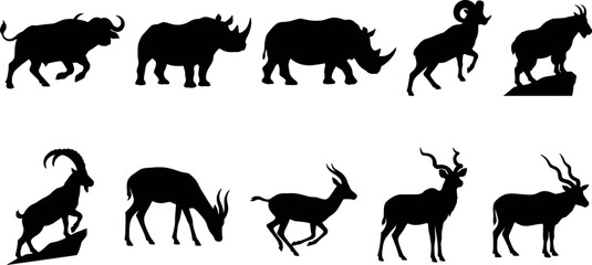 Black silhouettes of various wild animals on white background  rhinoceros and antelopes © SAYEDAJANNATUL