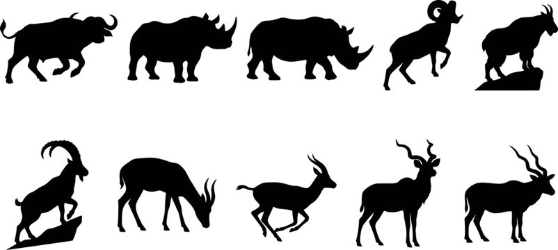 Black silhouettes of various wild animals on white background  rhinoceros and antelopes