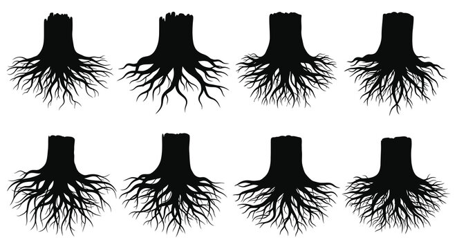 Tree Stump Silhouettes With Root Systems Black On White Background