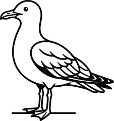Obraz premium Seagull bird outline illustration with illustration, wildlife
