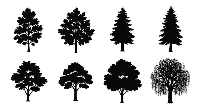 Tree silhouettes collection black vector graphics on white background