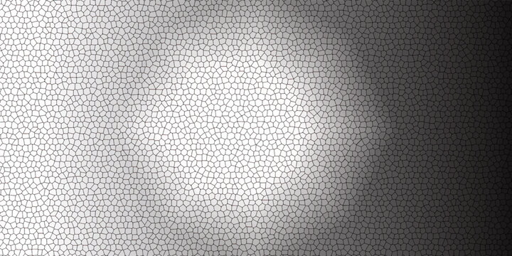 Seamless pattern skin snake, crocodile, lizard, alligator, reptile. Reptilian scales. Monochrome black spots. Vector isolated on white. Serpentine texture. Fashion print.