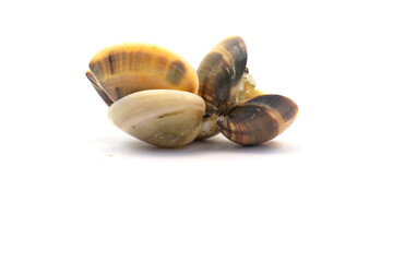 Closed up fresh baby clams. venus shell. shellfish. carpet clams. Food from nature. as raw food from the sea are the seafood ingredients. fresh clams isolated on white background © Pisan