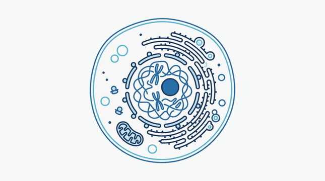 Detailed illustration of a eukaryotic animal cell structure.