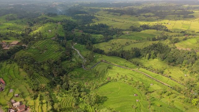 Rice fields flyover with big clouds