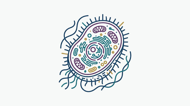 Microscopic illustration of a single bacterial cell structure.
