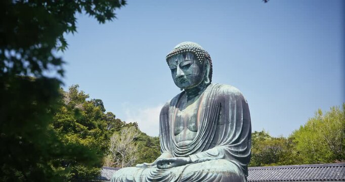 Great 13th Century Buddha Kamakura Wide Shot Through Green Tree Canopy