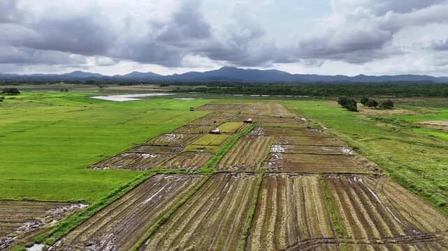 Aerial drone view of two red combine harvesters harvesting rice across a wide patchwork of green and cut paddy fields backed by mountains and tropical forest, Bato, Taytay, Palawan, Philippines.