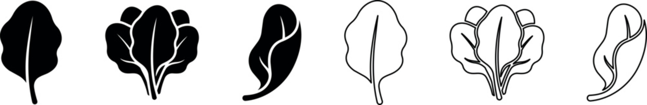 Leaf and lettuce icons with outline and solid styles