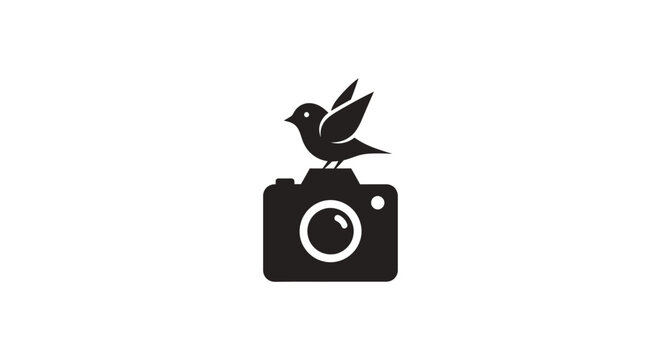 Minimalist black bird perched atop camera logo design against a white backdrop