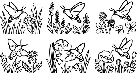 Fototapeta premium Line art hummingbirds among wildflowers in monochrome